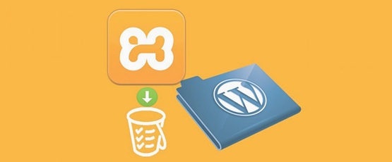 فناوری اطلاعات برترین |نصب وردپرس بر روی حافظه داخلی