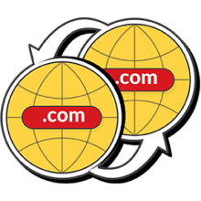 نحوه انتقال دامین بین المللی